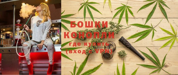 ALPHA PVP Каменногорск
